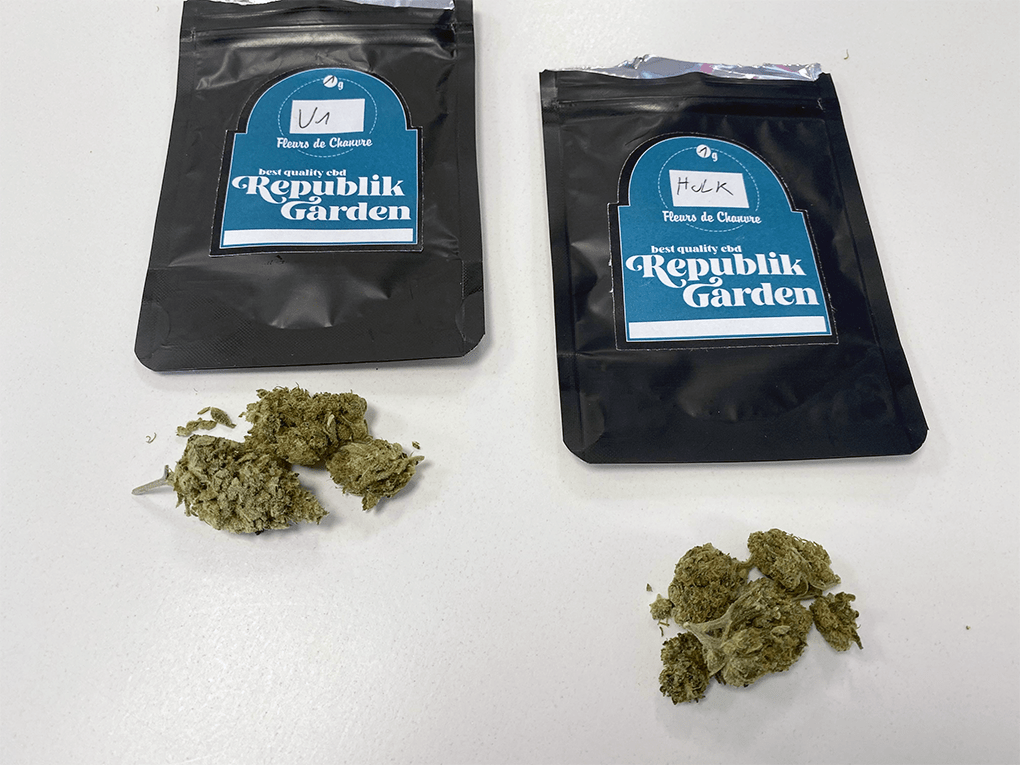 republikgarden4