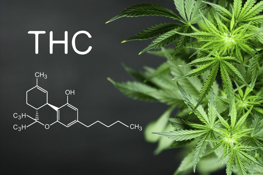 Wietolie-met-THC