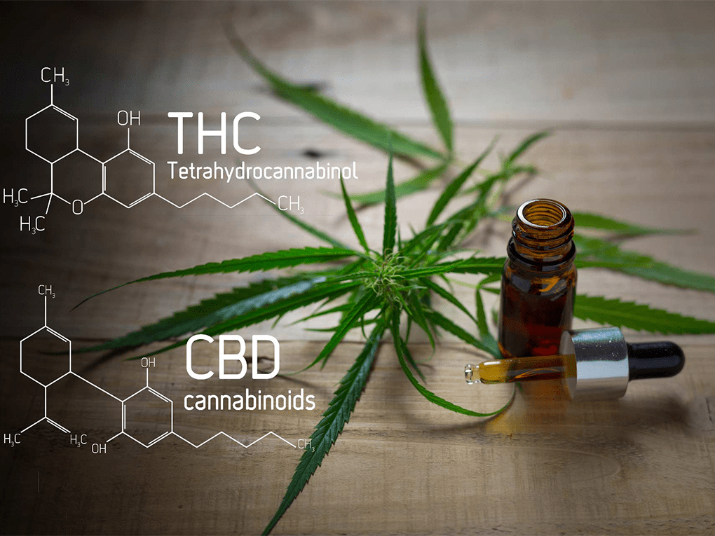 cbd-vs-thc
