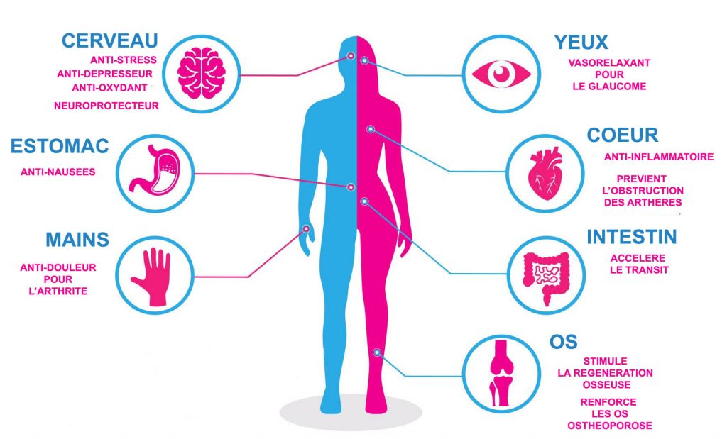 effets-cbd-copy-1