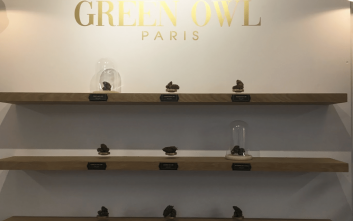 greenowl1