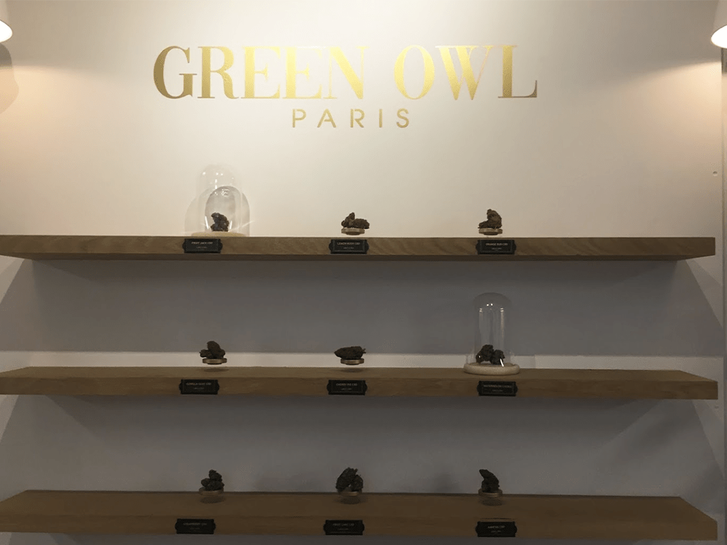 greenowl1
