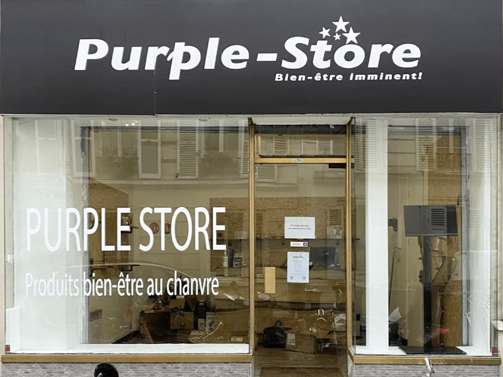 purplestorebrochant1