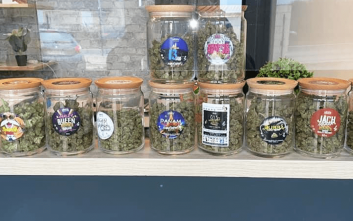 weedparadiseboissy2
