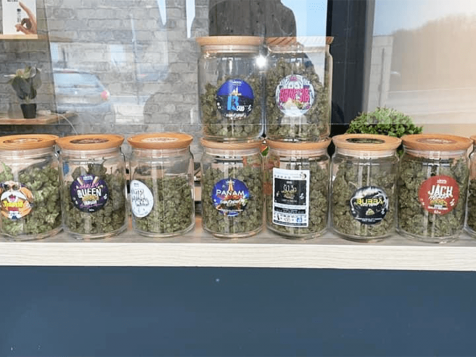 weedparadiseboissy2