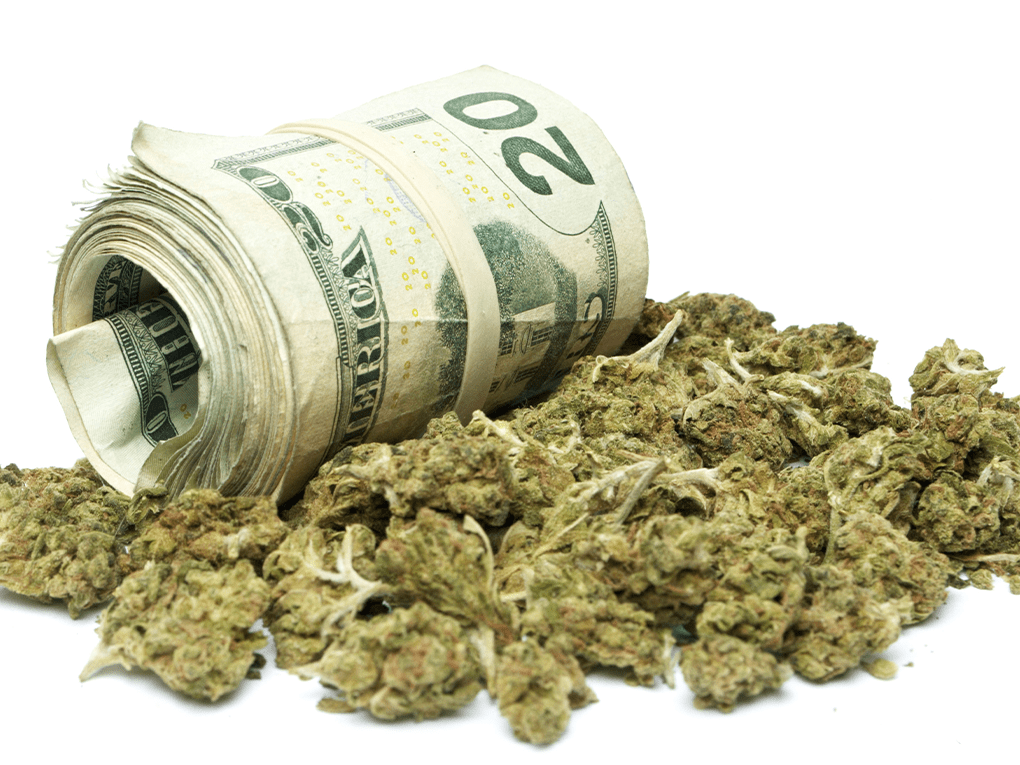 dollar-weed