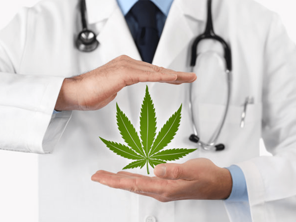 medical-cannabis