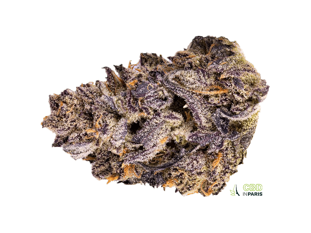 indica1