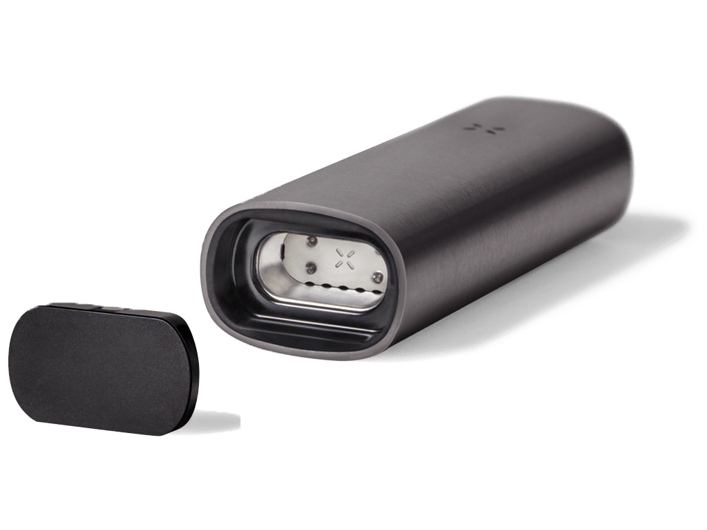 pax3-1