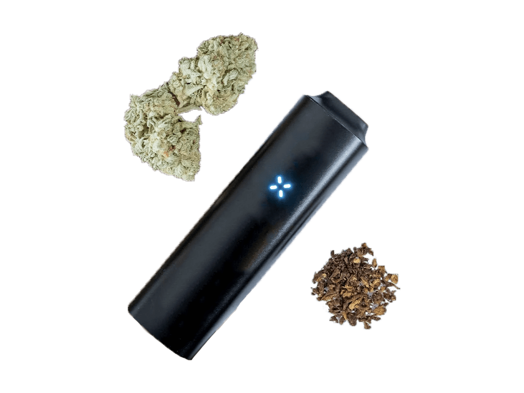 pax3-weed-tabac